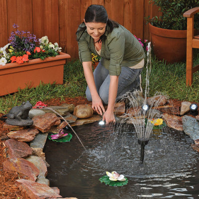 Spring Checklist for the Perfect Pond