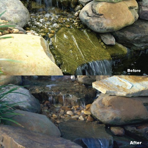 How to Control Algae in Your Pond Naturally and Effectively