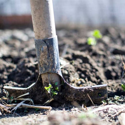 How Does Gardening Relieve Stress?