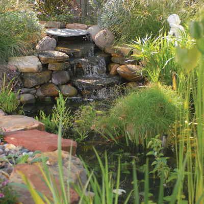 Protect Your Pond From Chemicals and Runoff