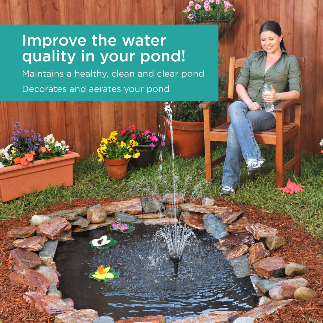 Complete Filter Kit with Pump improves the water quality in your pond