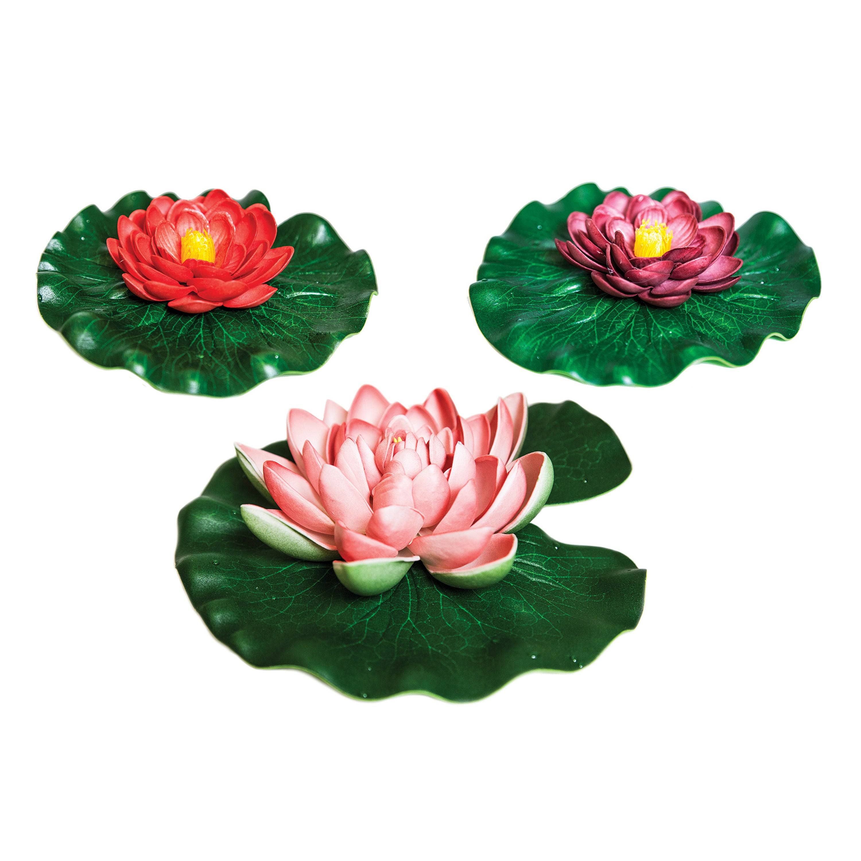 Floating Lily Pad Variety Pack – TotalPond