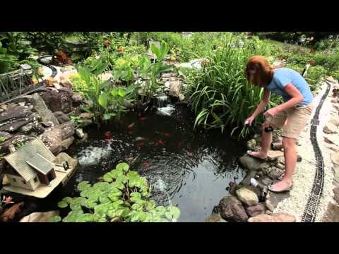 Learn more about Totalpond lighting