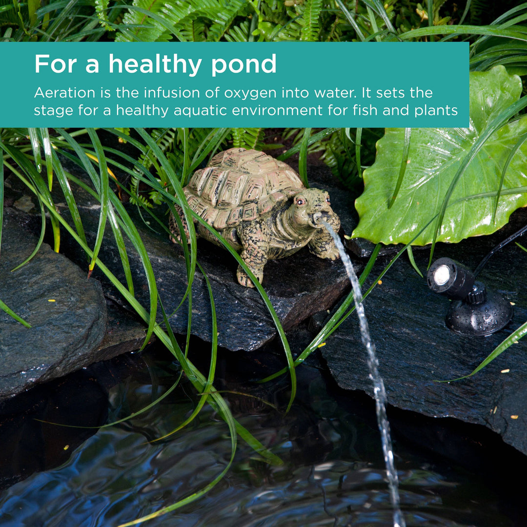 Turtle Spitter adds aeration to create a healthy aquatic environment