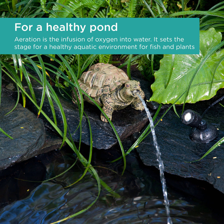 Turtle Spitter adds aeration to create a healthy aquatic environment