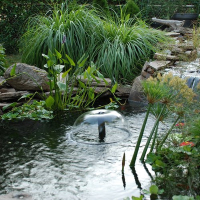 Aerating Your Pond in Fall and Winter