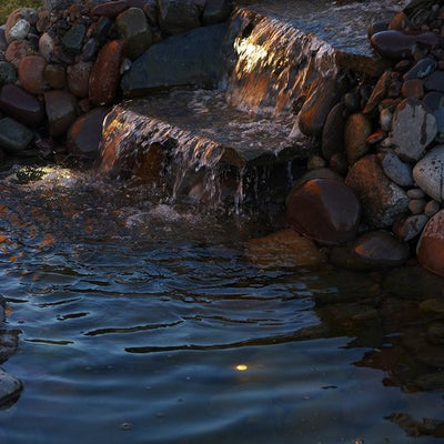 Meaning Making in Designing Your Pond