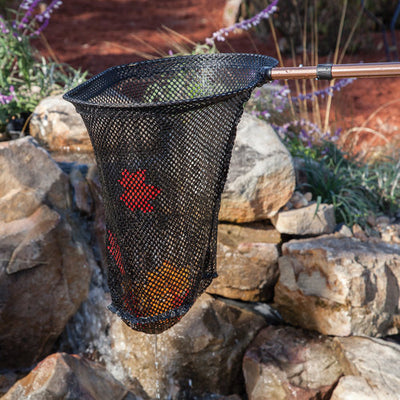 Tools for Effective Fall Pond Cleaning