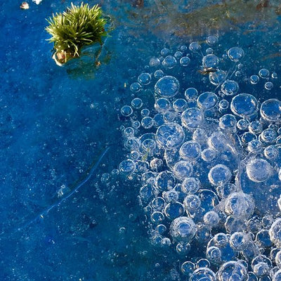 What To Do If Your Pond Freezes Over