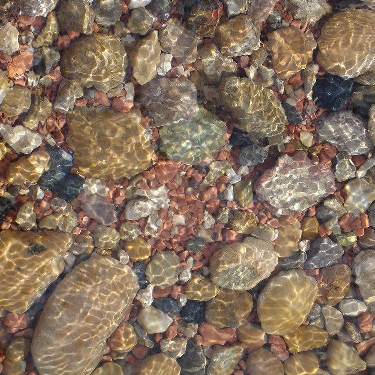 Essential Summer Pond Equipment