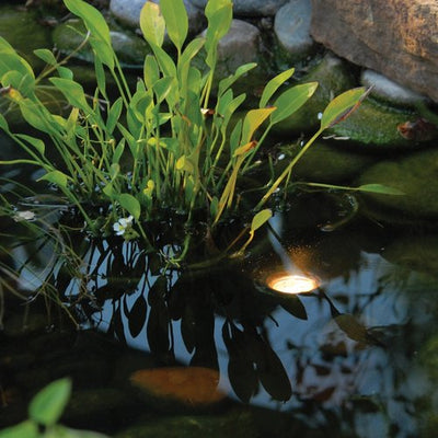 Illuminate Your Backyard Oasis: The Ultimate Guide to Pond and Landscape Lighting