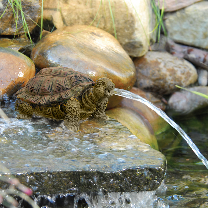 Turtle Spitter