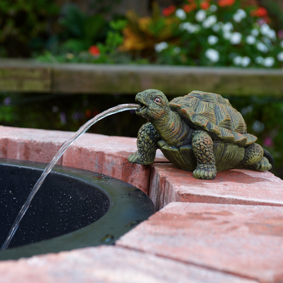 Turtle Spitter