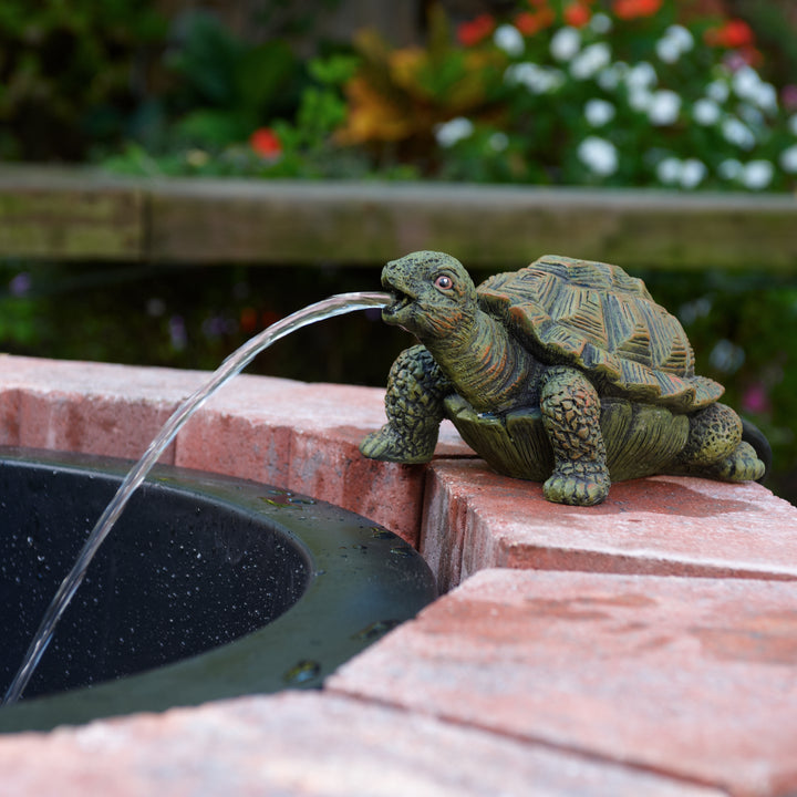 Turtle Spitter