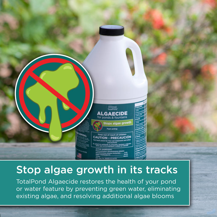 64 oz. Algaecide