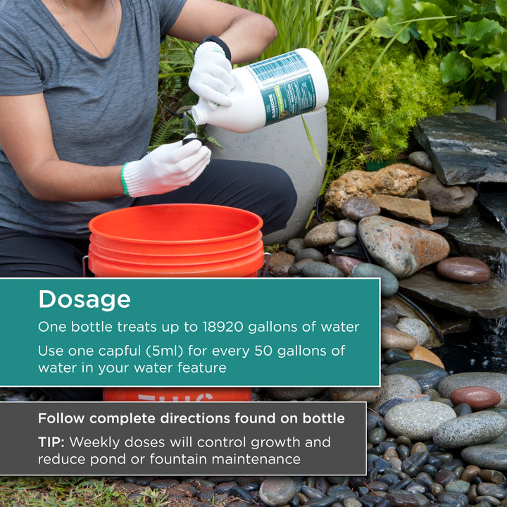 64 oz. Algaecide