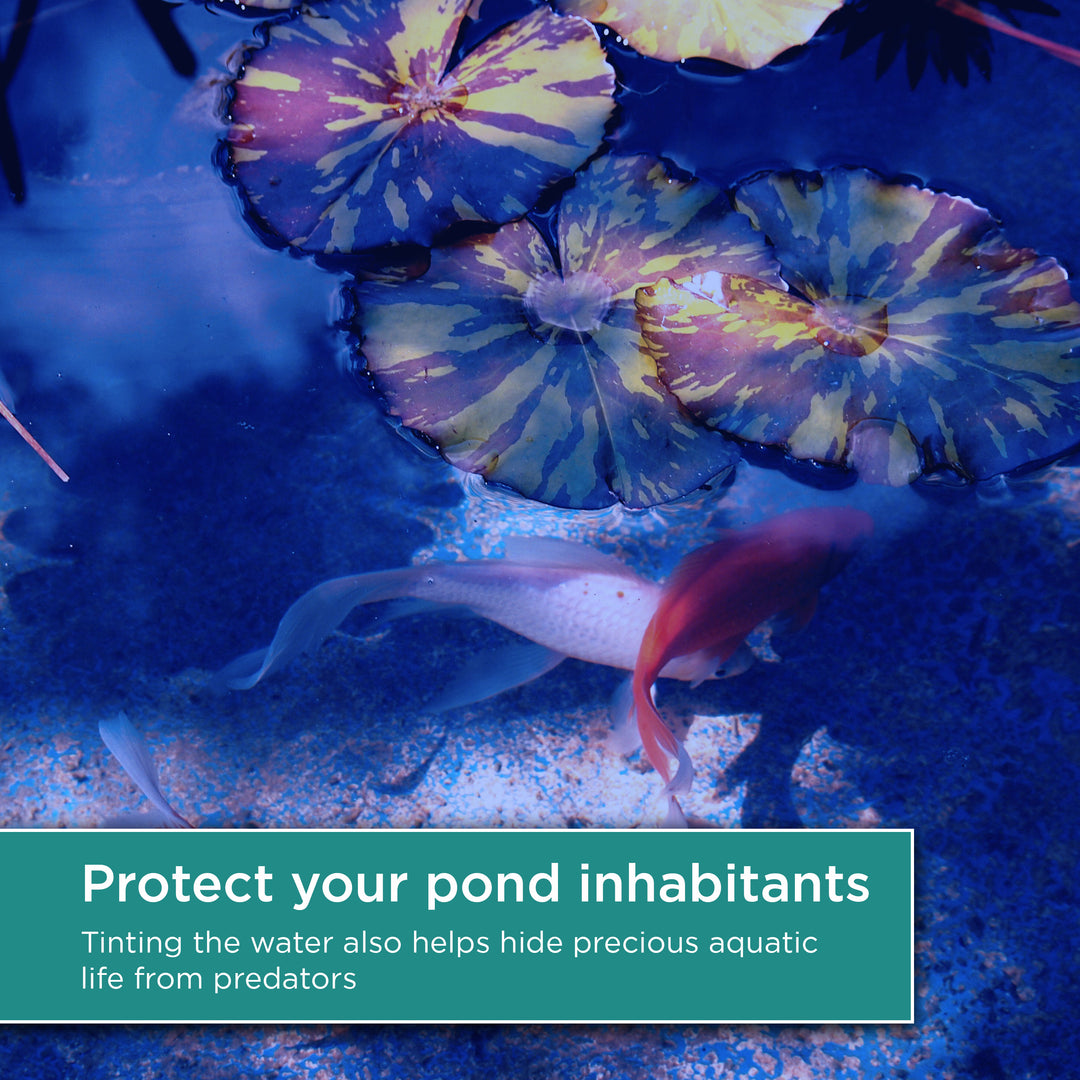 8 oz. Pond Blue