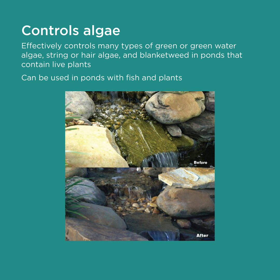 TotalPond Algaecide effectively controls many types of green water