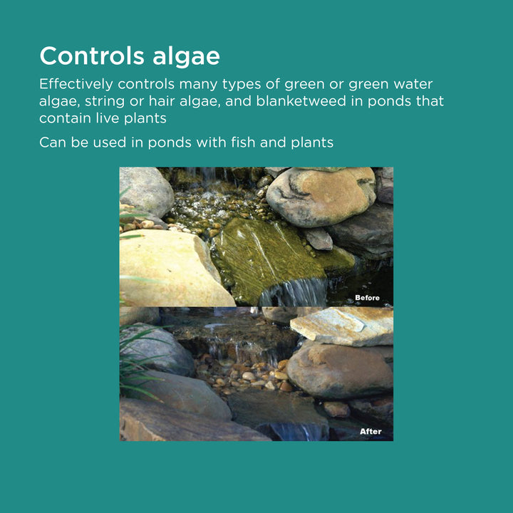 TotalPond Algaecide effectively controls many types of green water