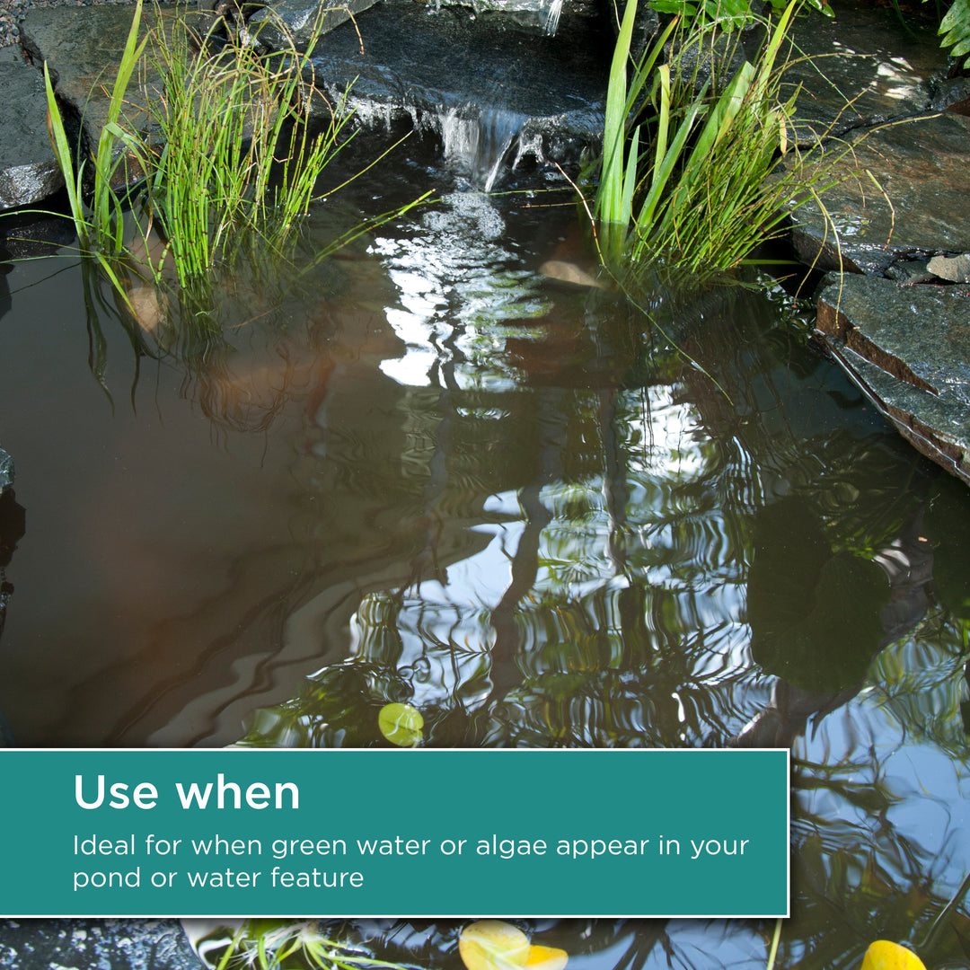 Use TotalPond Algaecide when green water or algae appear in your pond or water feature