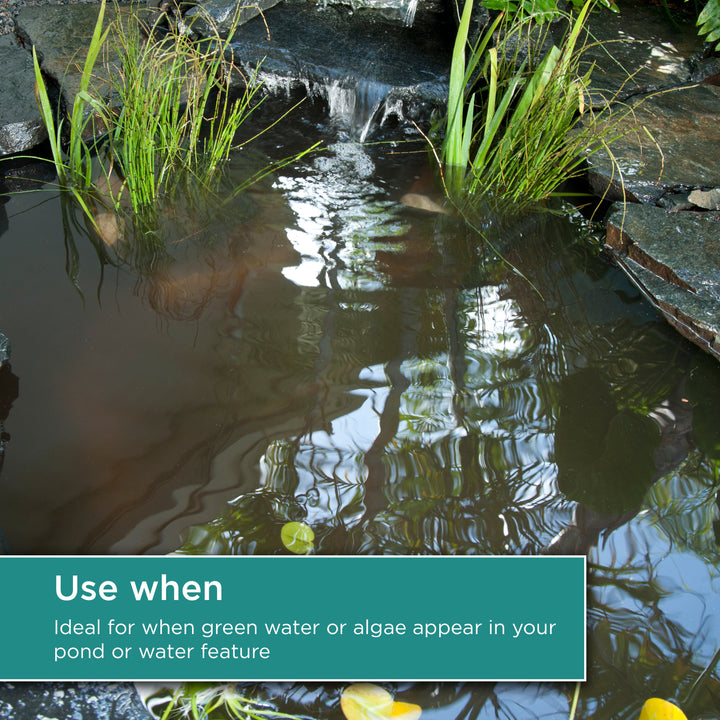 Use TotalPond Algaecide when green water or algae appear in your pond or water feature