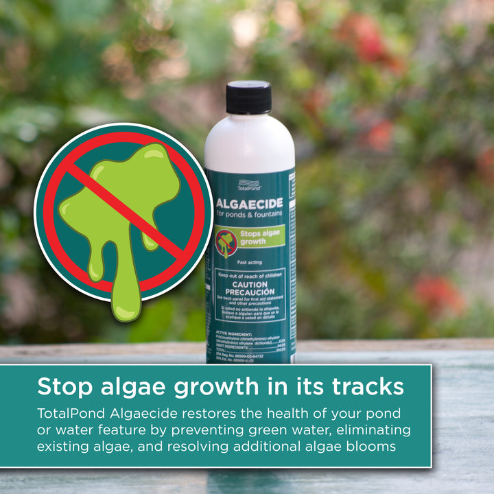 16 oz. Algaecide