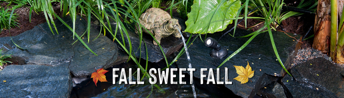 TotalPond fall pond care products and seasonal maintenance guide