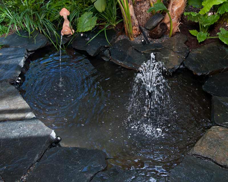 TotalPond All-in-One Pond Bundle in use