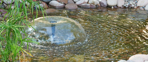 Waterbell fountain nozzle in a pond