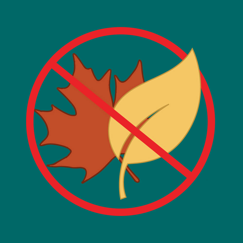 Illustration of fallen leaves with a red prohibition symbol, representing organic pond debris