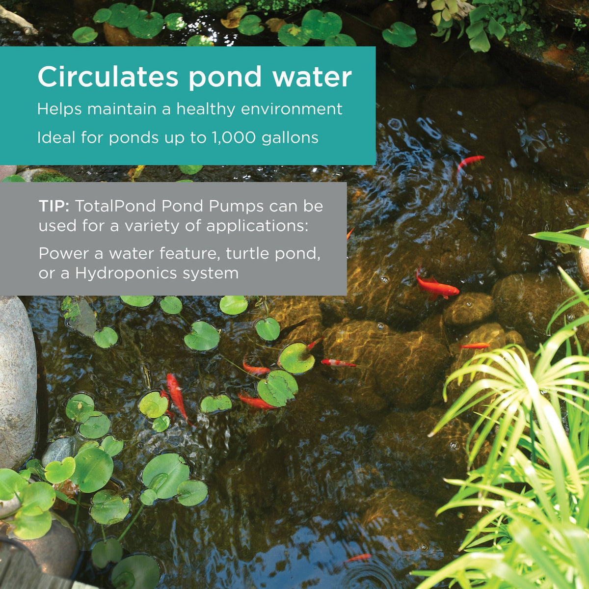 560 GPH Pond Pump circulates water to maintain a healthy environment