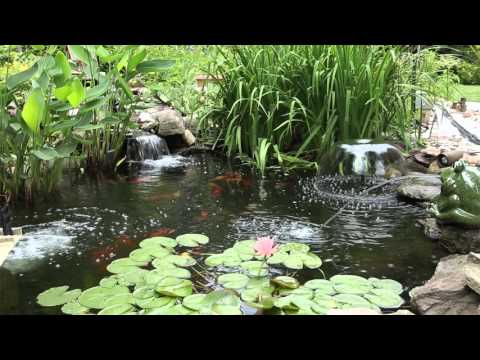 Learn more about TotalPond pond pumps